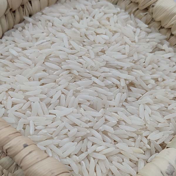 برنج شیرودی درجه یک