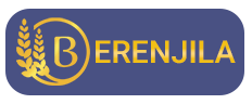 logo-berenjila