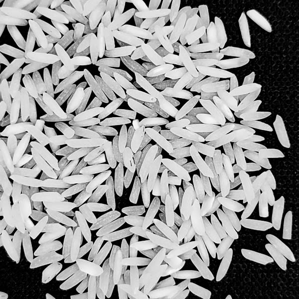 برنج فجر خالص