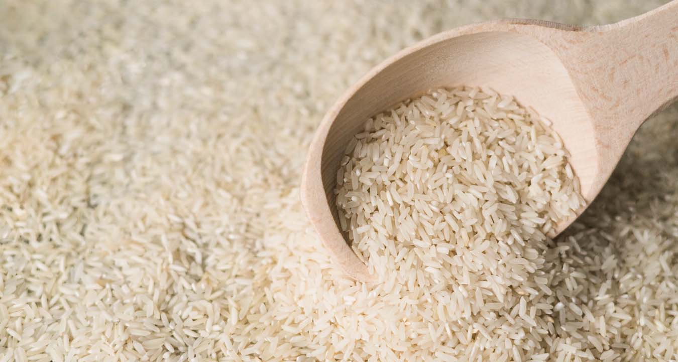 قیمت روز برنج ایرانی